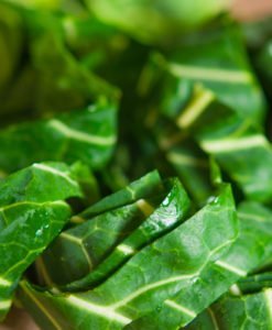 Alternative view of CHOPPED COLLARD GREENS (2lb)