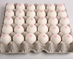 Alternative view of Eggs DOZEN